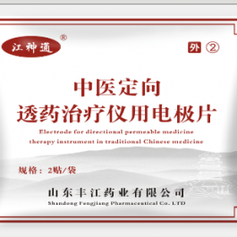 中醫(yī)定向理療貼片