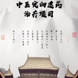 中醫(yī)定向透藥治療項(xiàng)目手冊(cè)