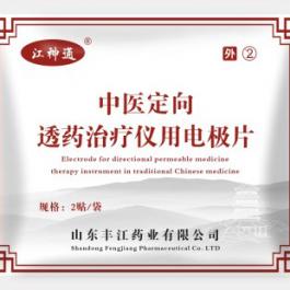中醫(yī)定向治療儀用電極片
